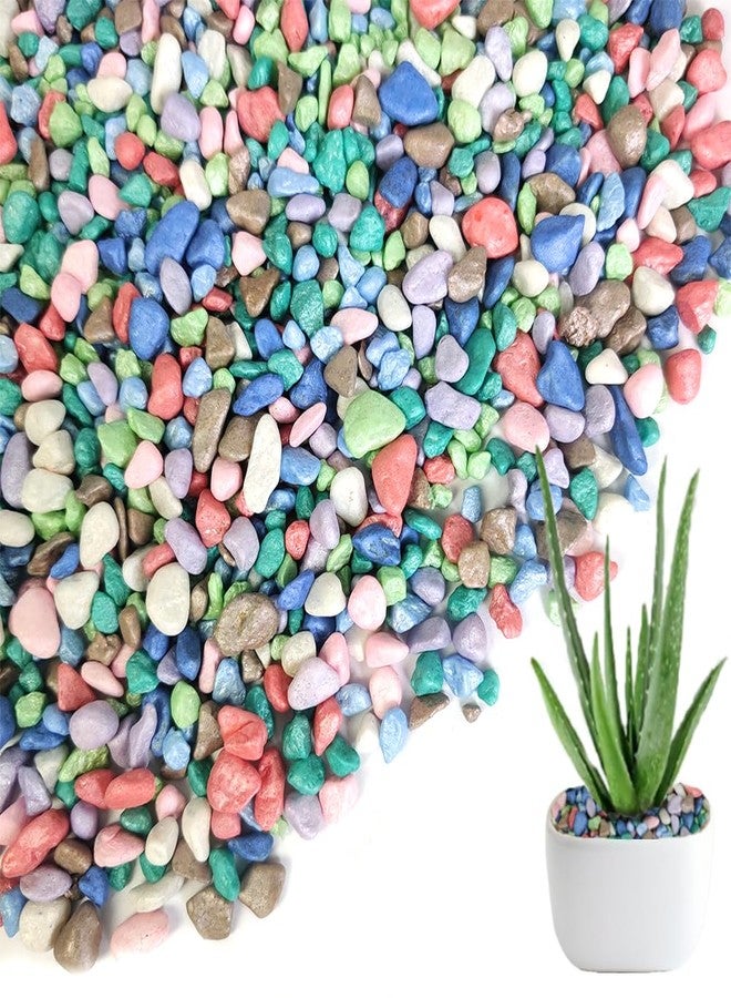 HappyFiller Colored Pea Gravel, Indoor Plants Succulent Cactus Topper Dressing Pebbles Fairy Garden Terrarium,Polished Mini Stones 3-5mm for Aquarium Fish Tank,Vase Filler,Resin Arts Crafts,0.88 LB - Image 1